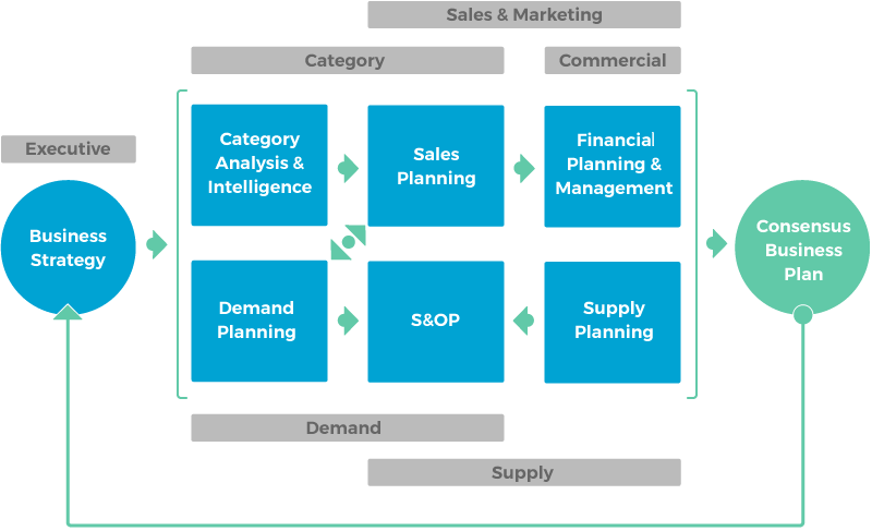 Integrated Business Planning – Blueshift